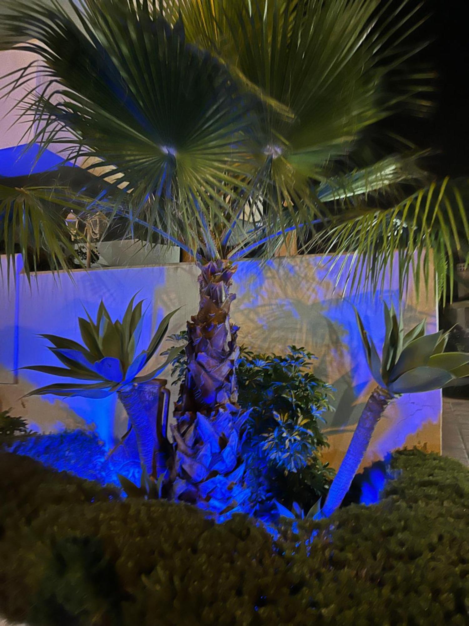 Sitio de Calahonda Casadeleon - Costadelsol Vacations & Remote Work מראה חיצוני תמונה