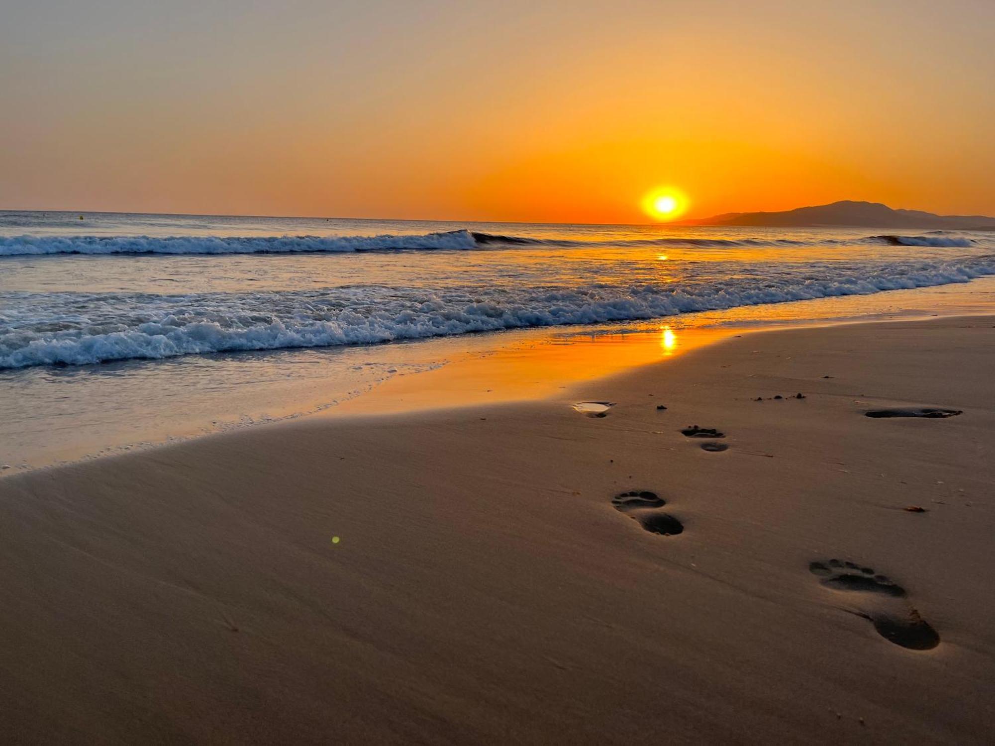 Sitio de Calahonda Casadeleon - Costadelsol Vacations & Remote Work מראה חיצוני תמונה